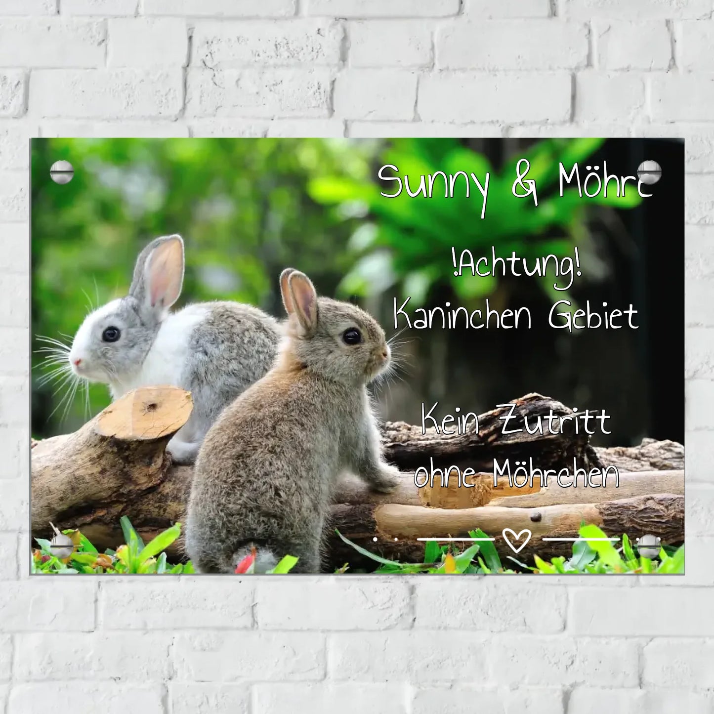 Personalisiertes Schild: Kaninchen | Hase Stall-, Boxenschild mit Foto und Text - individuelles Schild | Personalize Palace