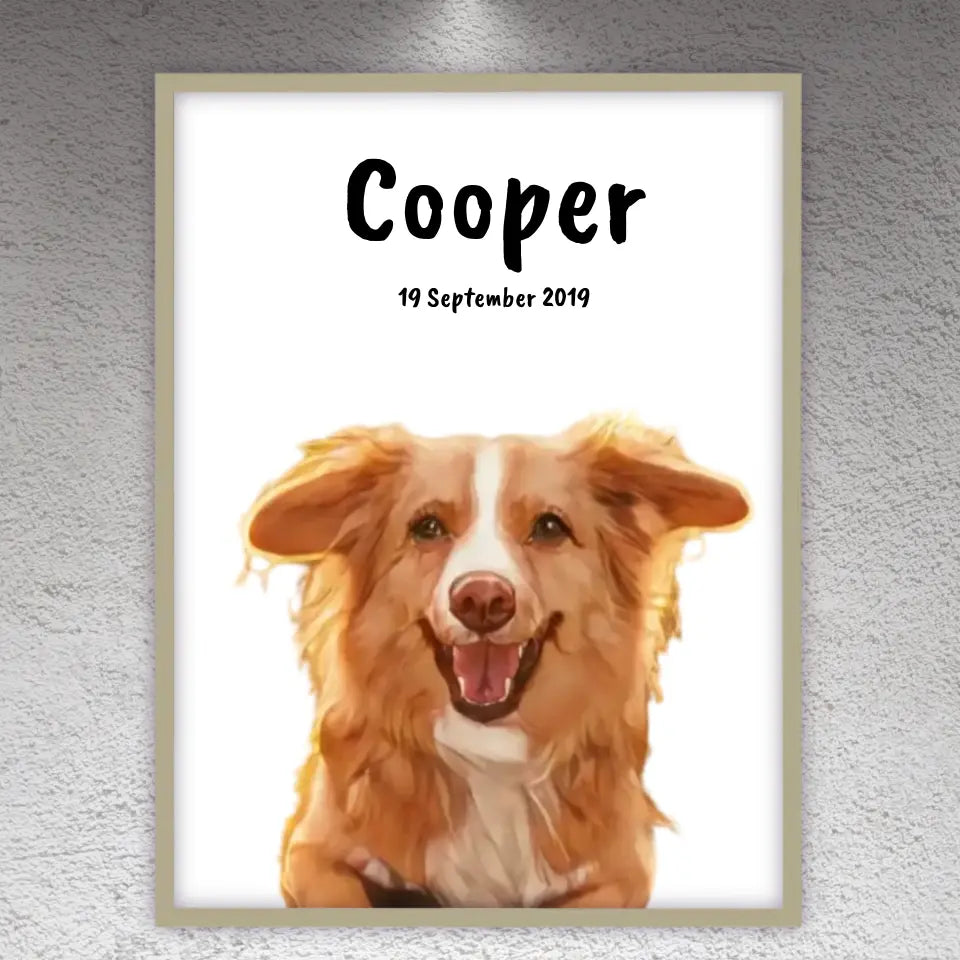 Pet paintings - Individual pet drawings