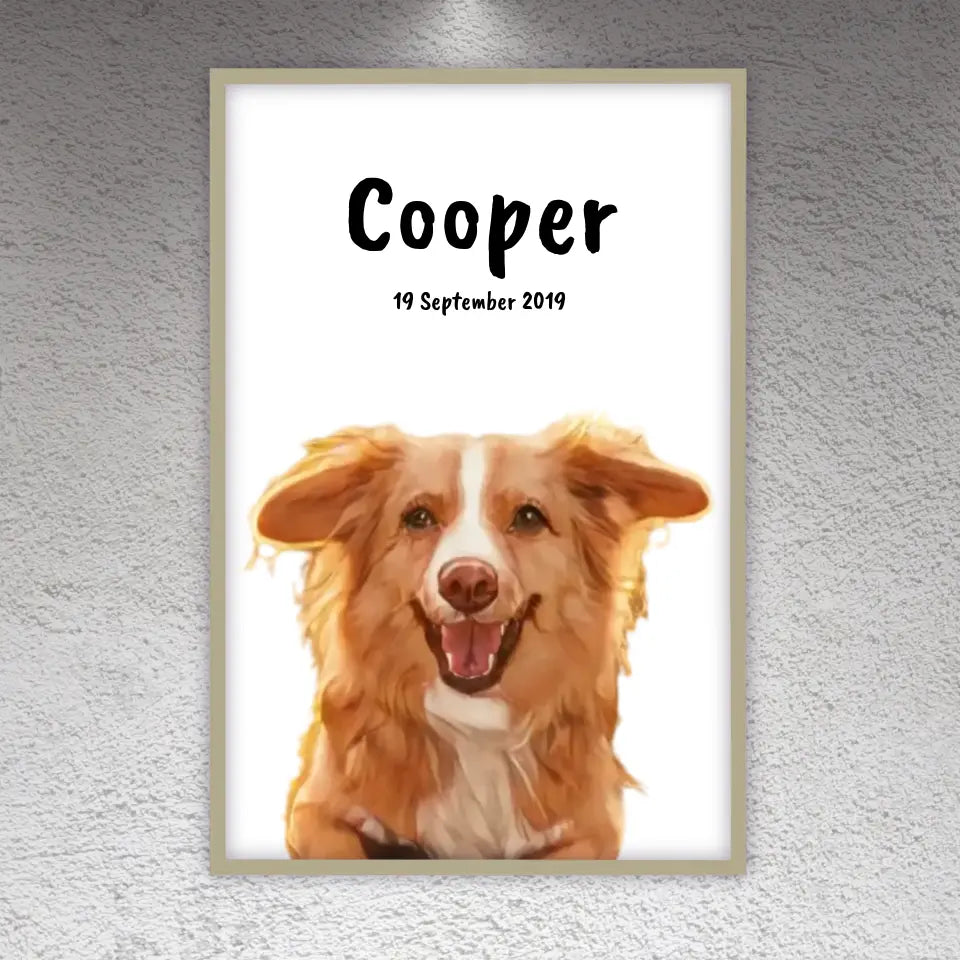 Pet paintings - Individual pet drawings