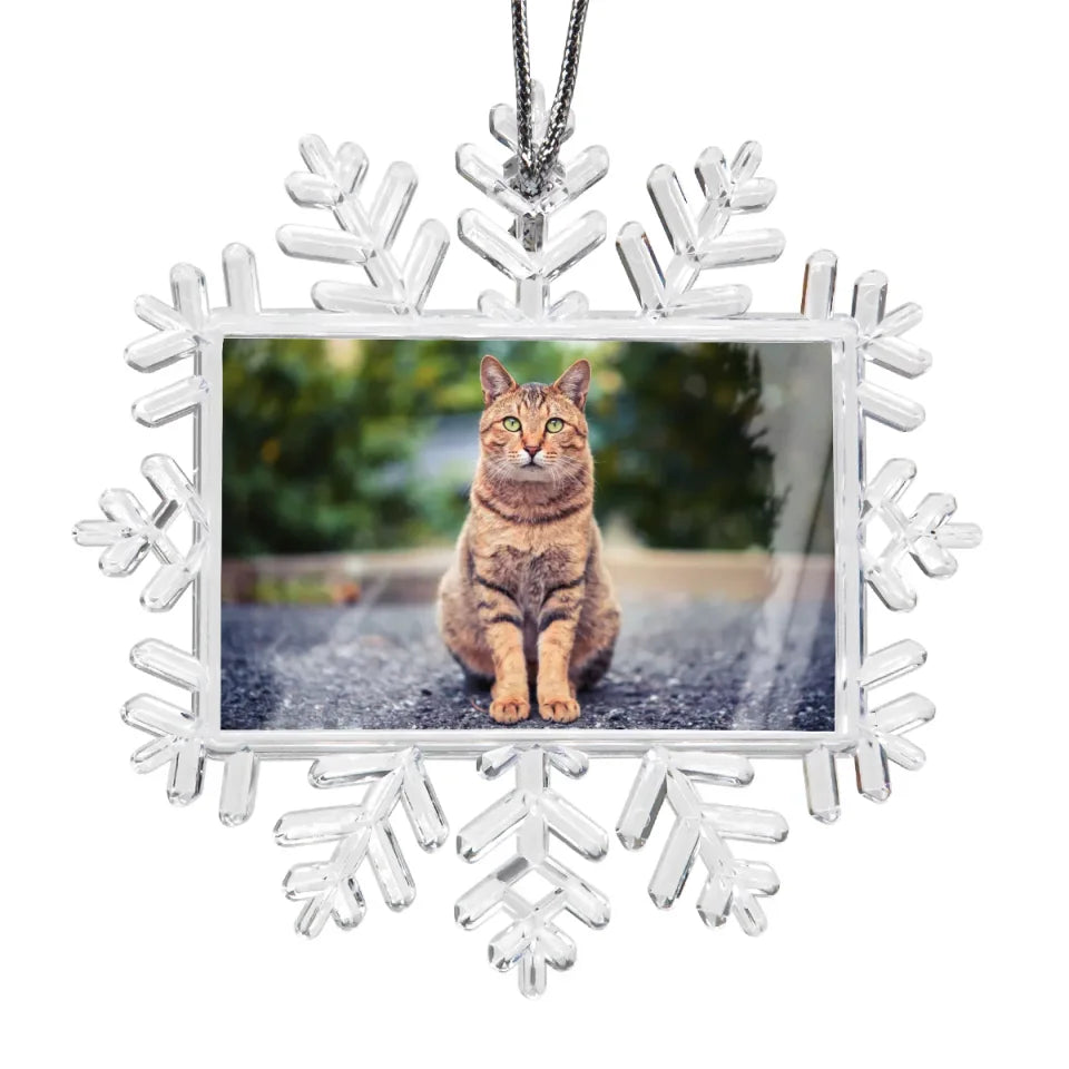 mask-snowflake-acryl-1200x1200px