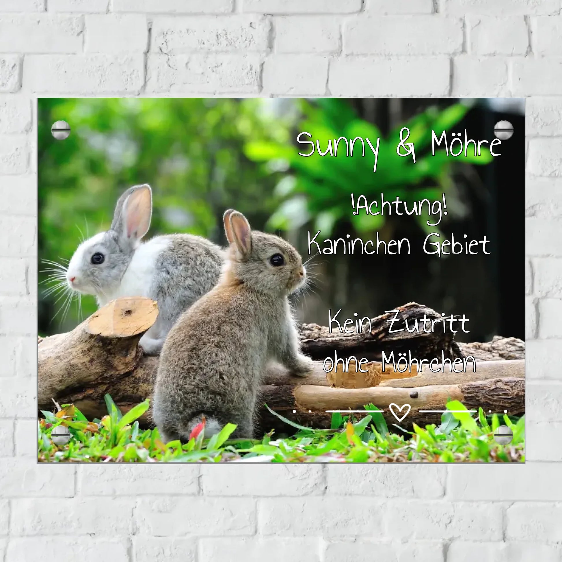 Personalisiertes Schild: Hasen und Kaninchen Stall-, Boxenschild mit Foto und Text - individuelles Schild | Personalize Palace
