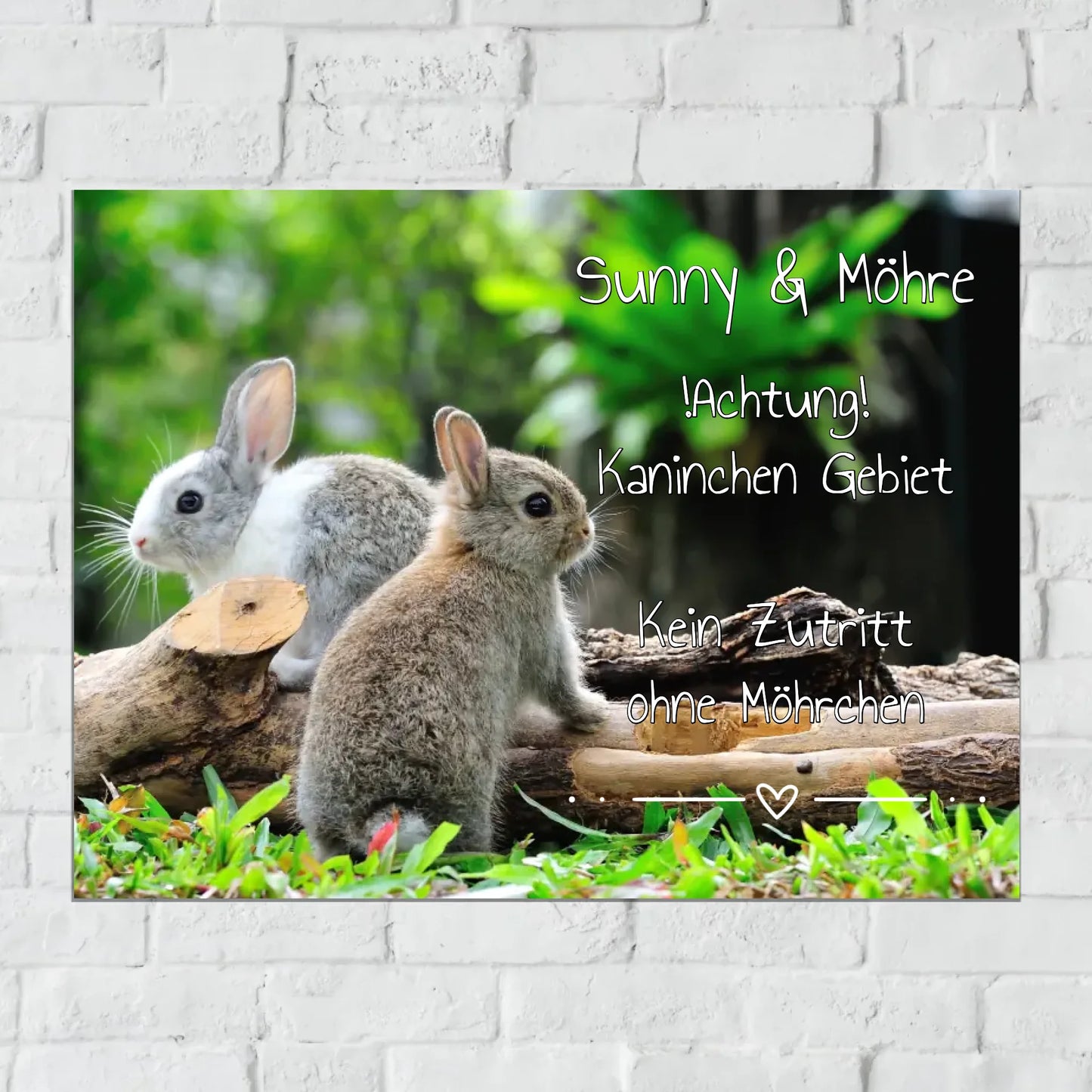 Personalisiertes Schild: Kaninchen | Hase Stall-, Boxenschild mit Foto und Text - individuelles Schild | Personalize Palace