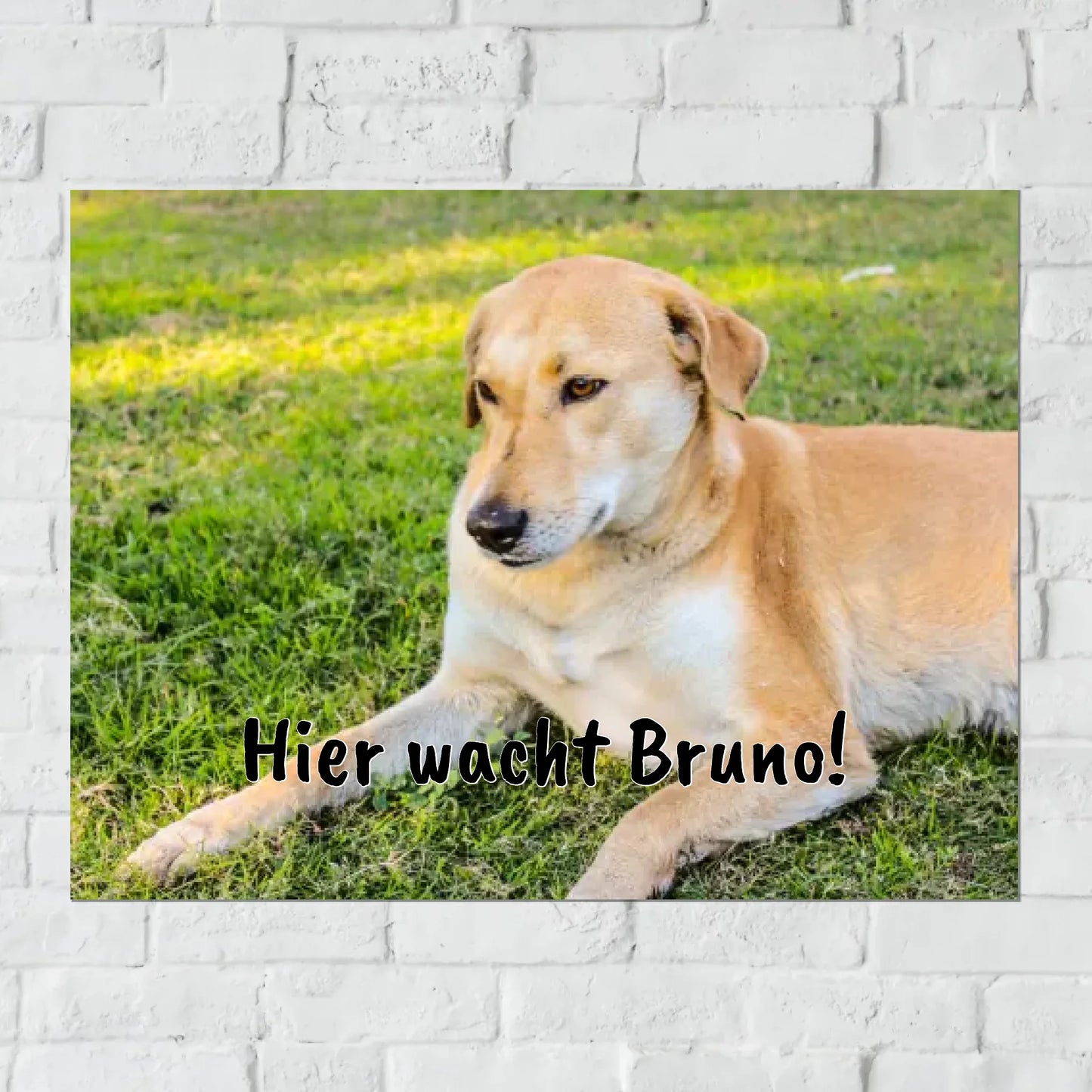 Aluminium Schild für Innen und Außen mit Löchern zur Befestigung