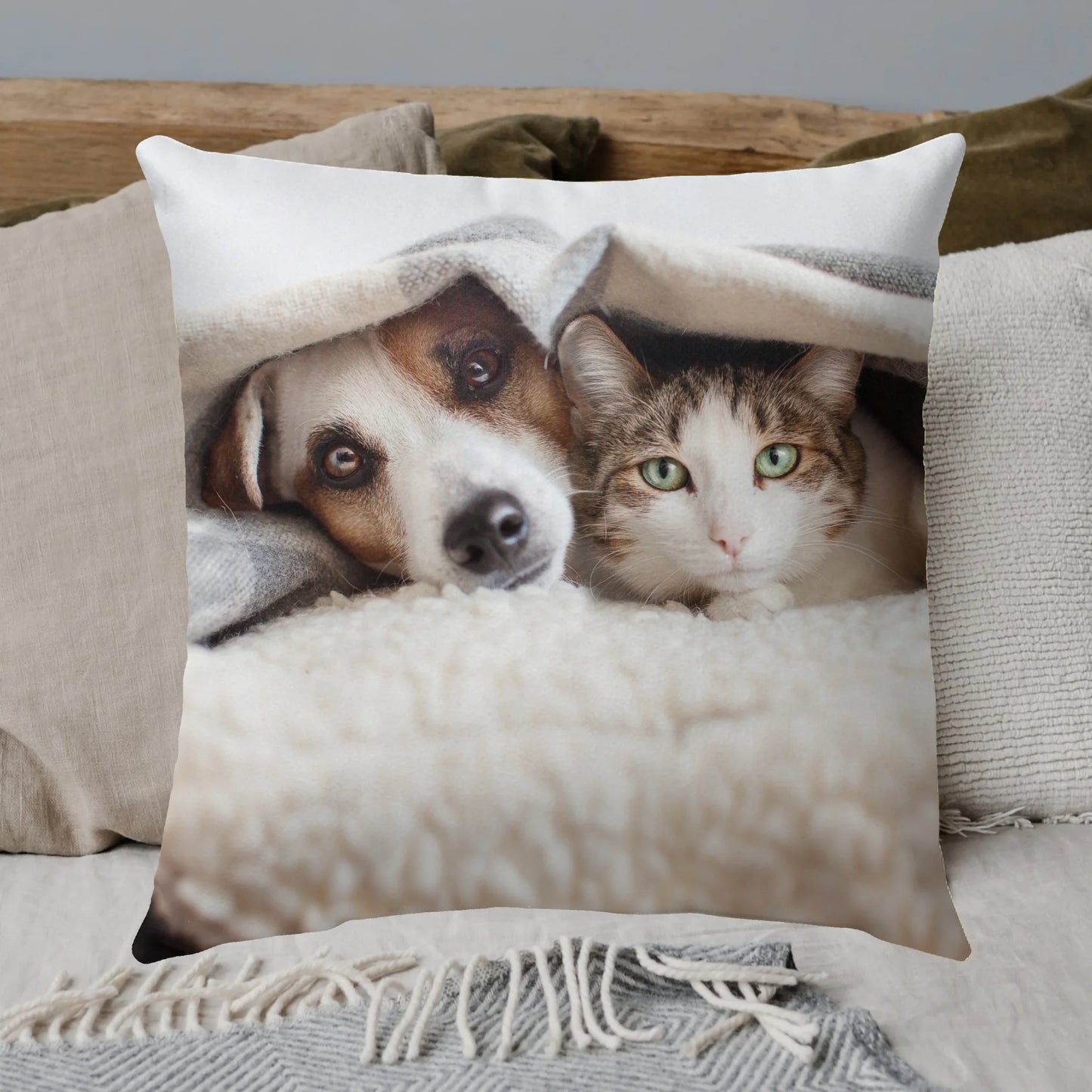 Cat cushion "Push me" - personalized premium photo cushion