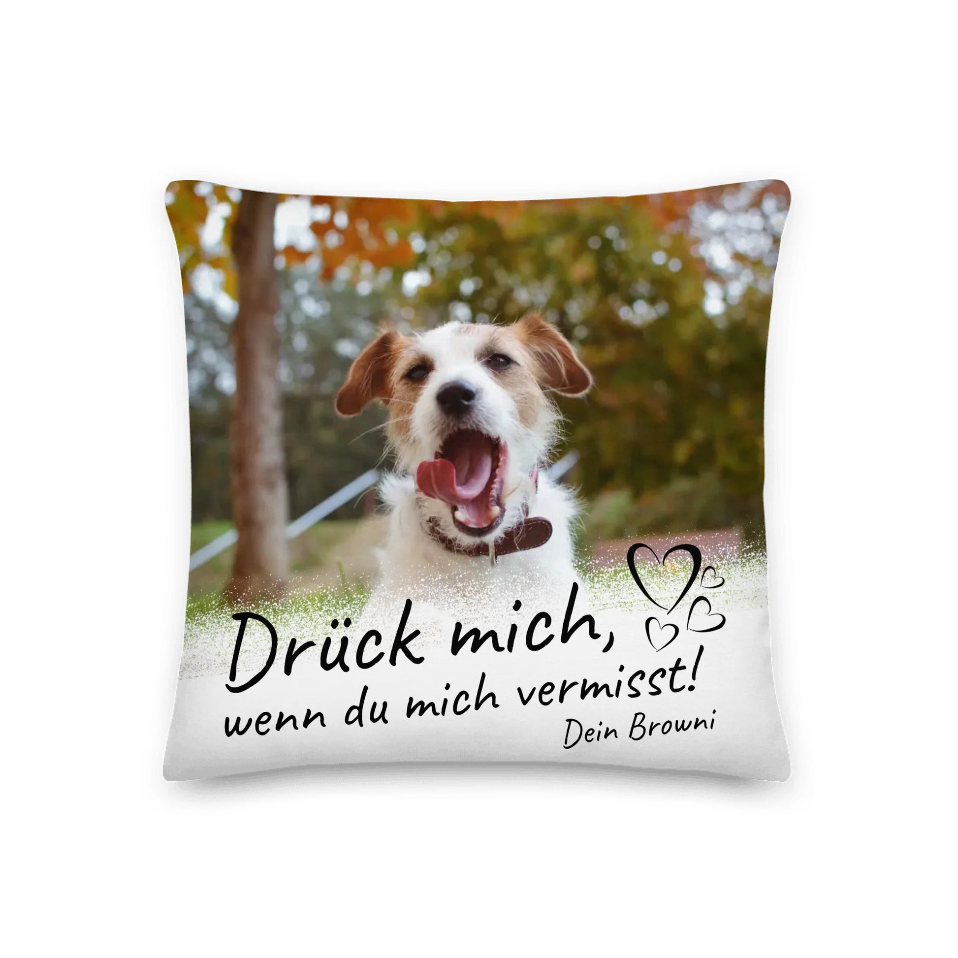 Personalisiertes Kissen: deine Erinnerung mit Foto und Trauerspruch an deine Katze – individuelles Kissen | Personalize Palace