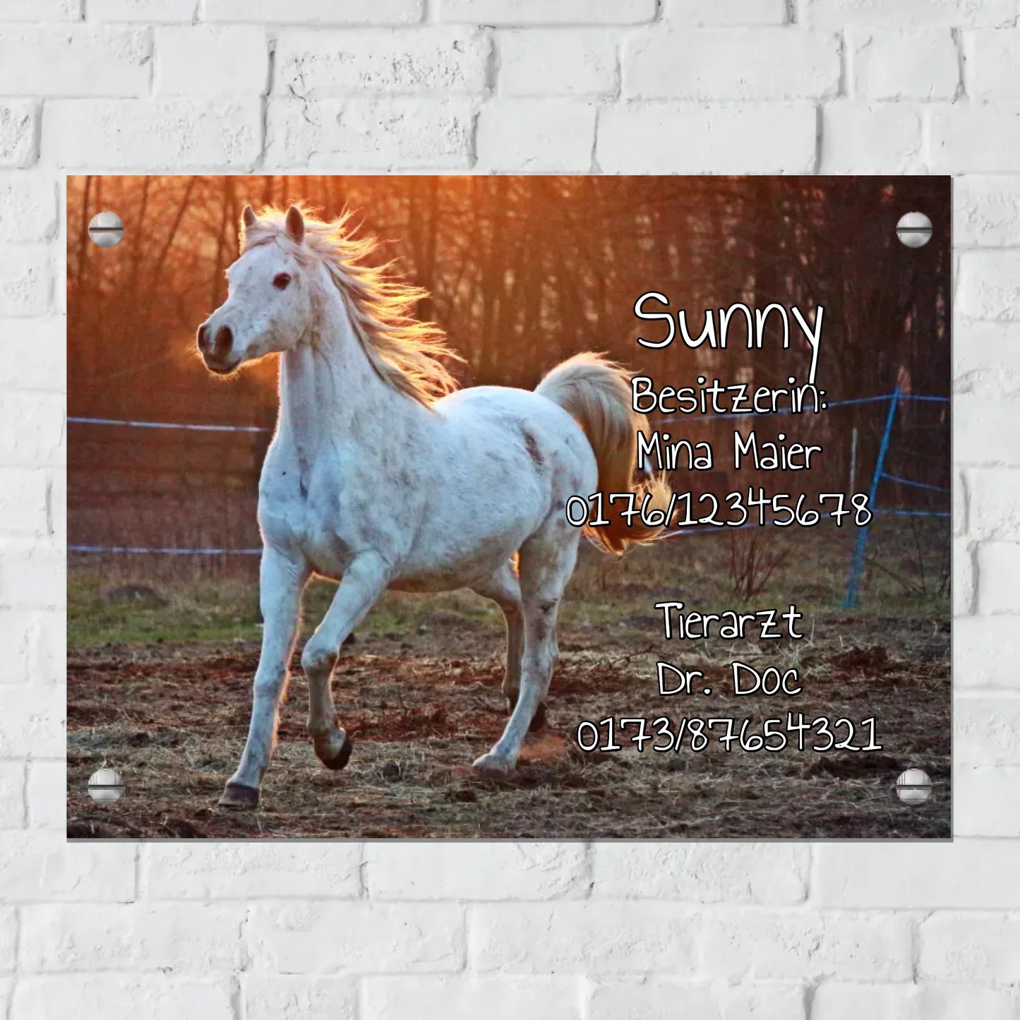 Aluminium Schild für Innen und Außen mit Löchern