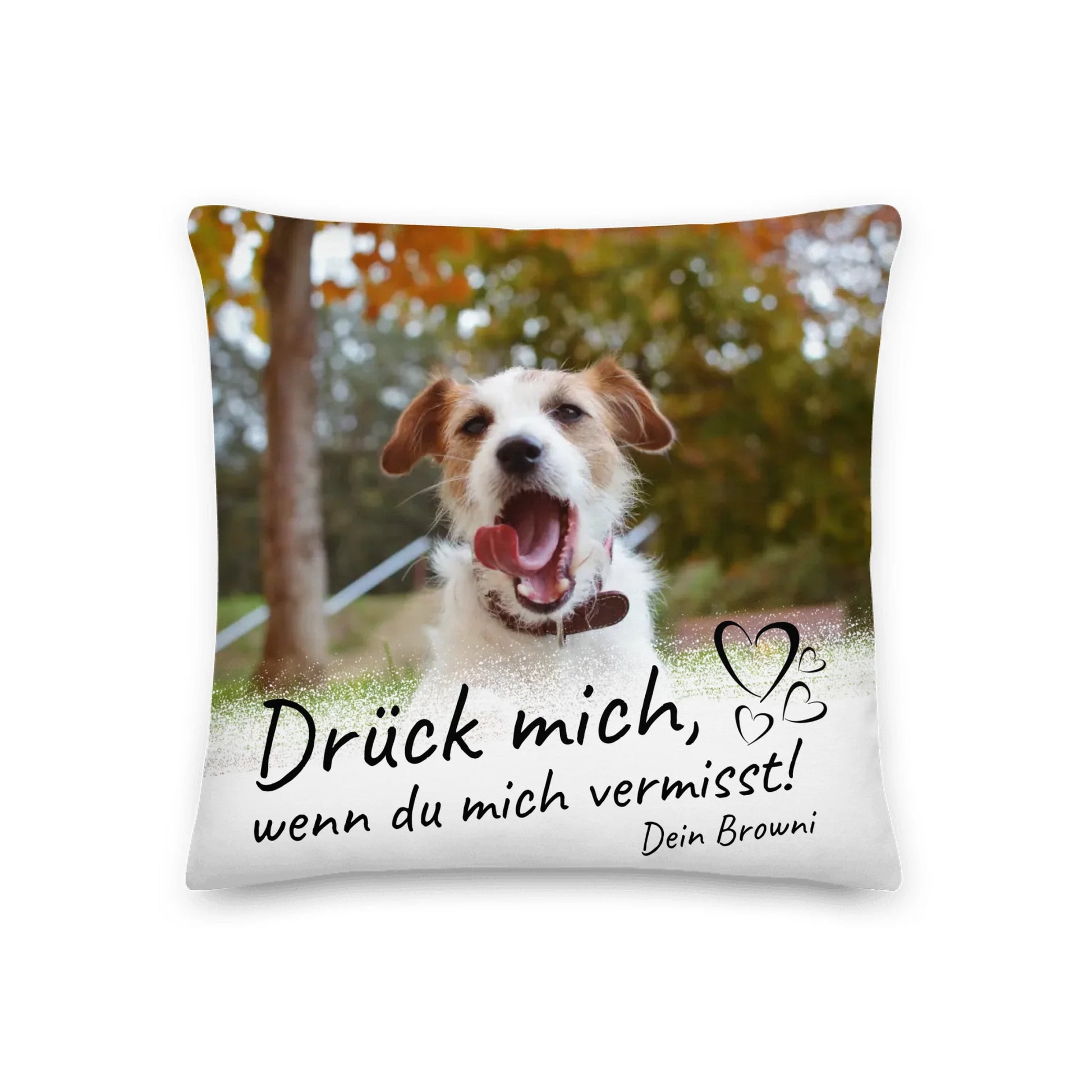 05_18x18_premiumpillow_default_base_whitebg